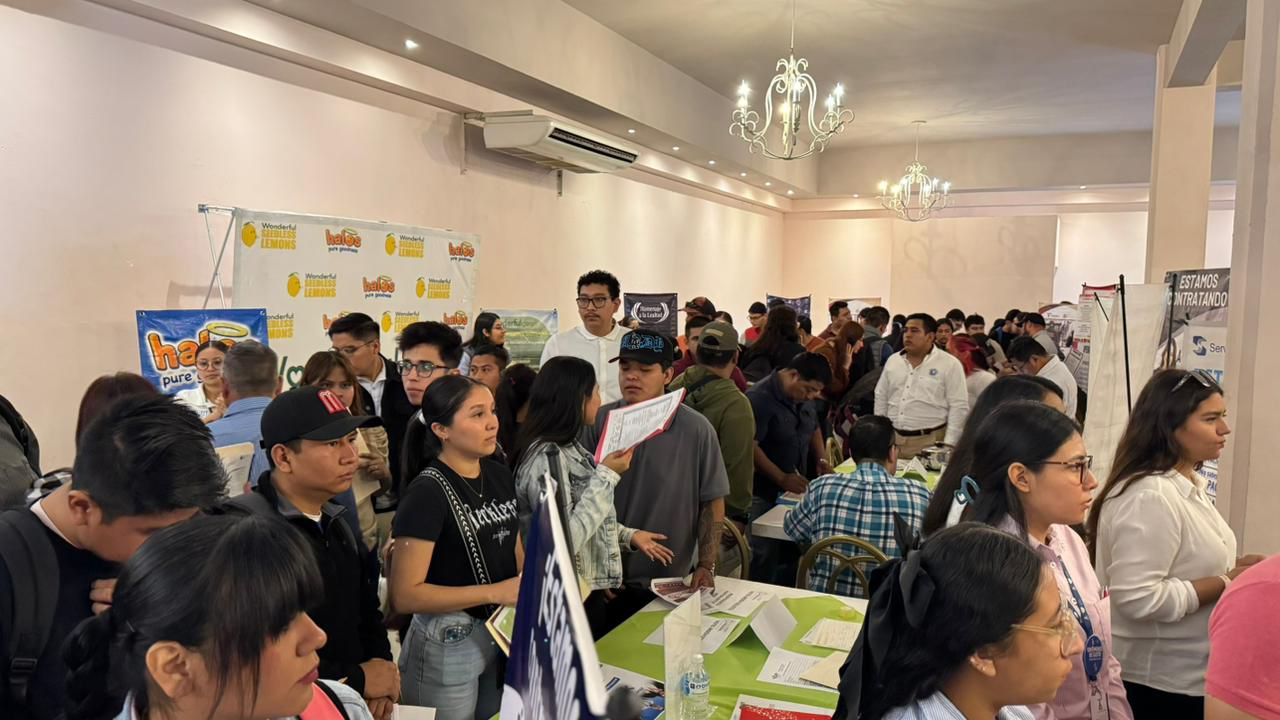 Primera Feria del Empleo en Ciudad Valles ofrece más de 500 vacantes