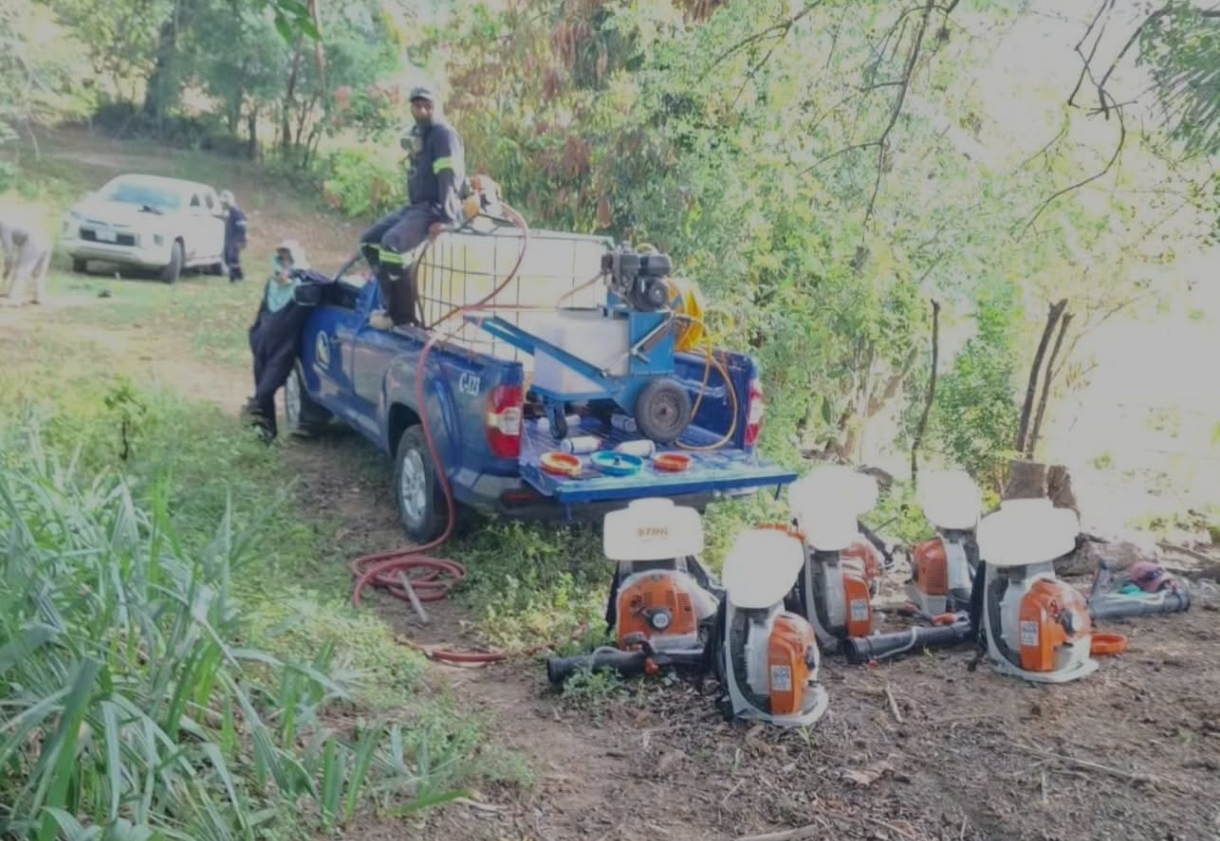 Refuerzan vigilancia para contener plaga de langosta en San Luis Potosí